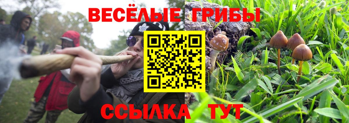 Псилоцибиновые грибы ЛСД  Вход с VPN  Пугачёв  где найти наркотики  Галлюциногенные грибы мухоморы 